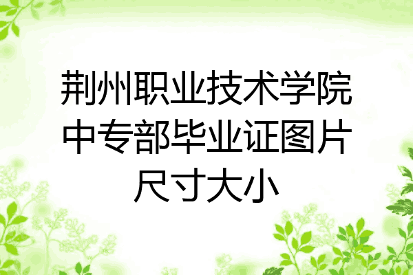 荆州职业技术学院中专部毕业证图片尺寸大小