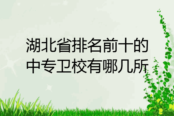 湖北省排名前十的中专卫校有哪几所