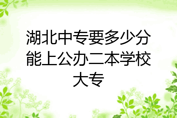 湖北中专要多少分能上公办二本学校大专