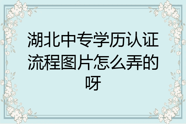 湖北中专学历认证流程图片怎么弄的呀