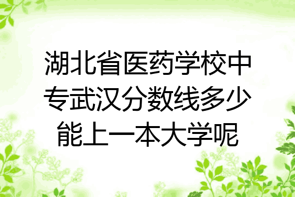 湖北省医药学校中专武汉分数线多少能上一本大学呢