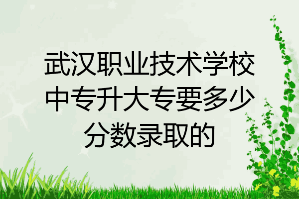 武汉职业技术学校中专升大专要多少分数录取的