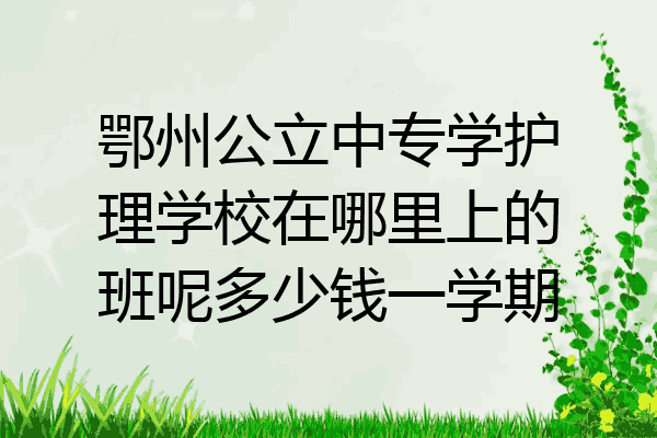鄂州公立中专学护理学校在哪里上的班呢多少钱一学期