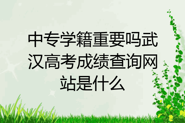 中专学籍重要吗武汉高考成绩查询网站是什么