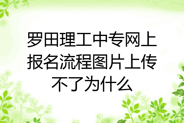 罗田理工中专网上报名流程图片上传不了为什么