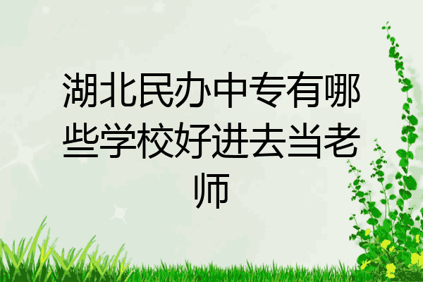 湖北民办中专有哪些学校好进去当老师