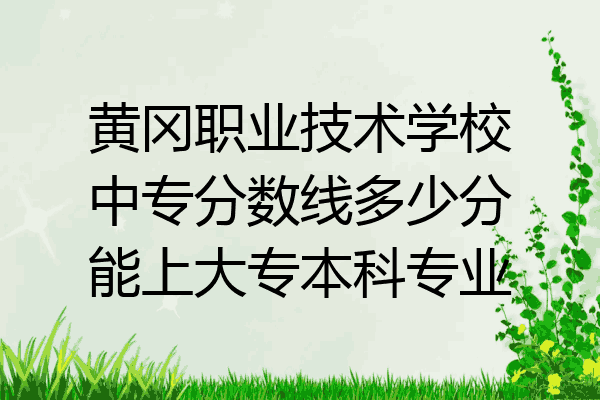 黄冈职业技术学校中专分数线多少分能上大专本科专业