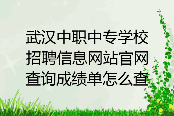 武汉中职中专学校招聘信息网站官网查询成绩单怎么查