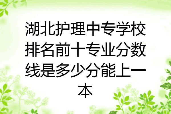 湖北护理中专学校排名前十专业分数线是多少分能上一本