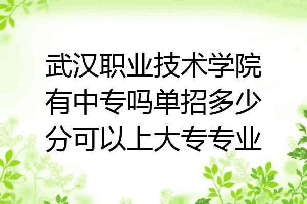 武汉职业技术学院有中专吗单招多少分可以上大专专业