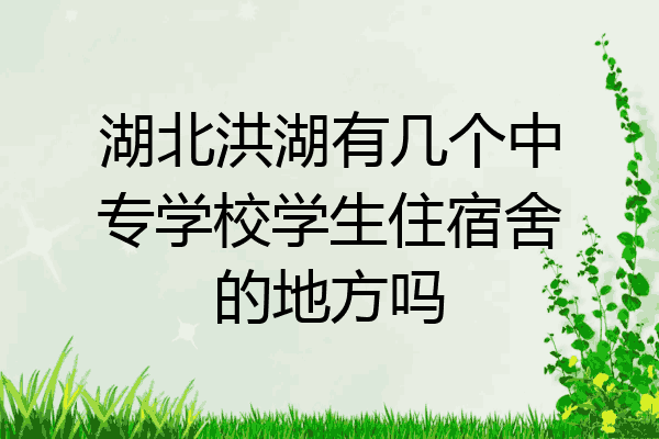 湖北洪湖有几个中专学校学生住宿舍的地方吗