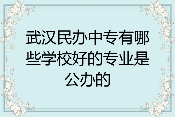 武汉民办中专有哪些学校好的专业是公办的