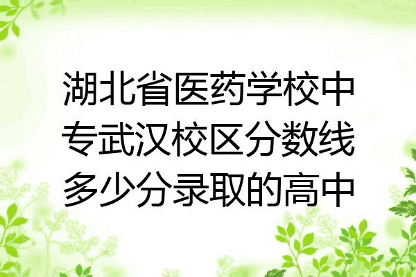 湖北省医药学校中专武汉校区分数线多少分录取的高中