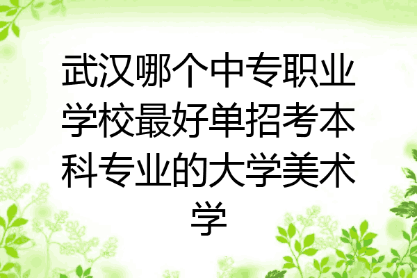 武汉哪个中专职业学校最好单招考本科专业的大学美术学