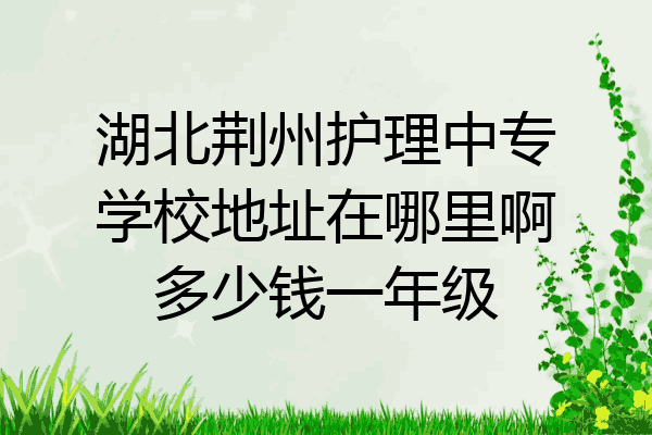 湖北荆州护理中专学校地址在哪里啊多少钱一年级