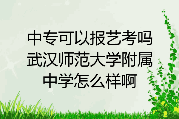 中专可以报艺考吗武汉师范大学附属中学怎么样啊