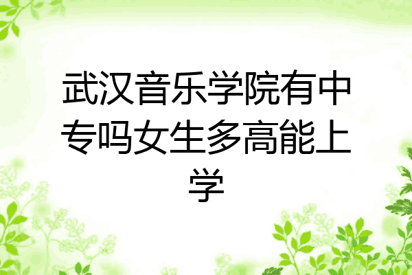 武汉音乐学院有中专吗女生多高能上学