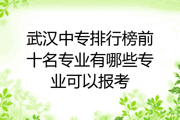 武汉中专排行榜前十名专业有哪些专业可以报考