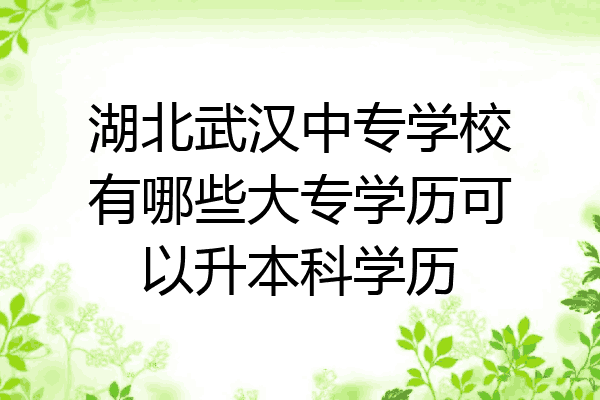 湖北武汉中专学校有哪些大专学历可以升本科学历