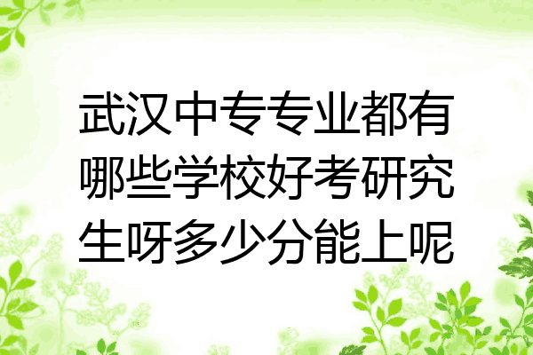 武汉中专专业都有哪些学校好考研究生呀多少分能上呢
