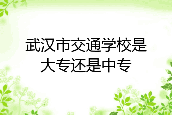 武汉市交通学校是大专还是中专