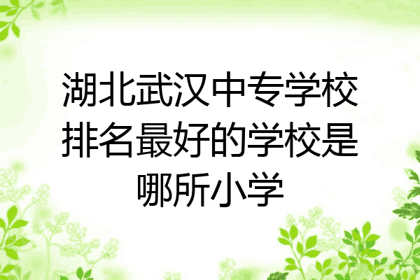 湖北武汉中专学校排名最好的学校是哪所小学