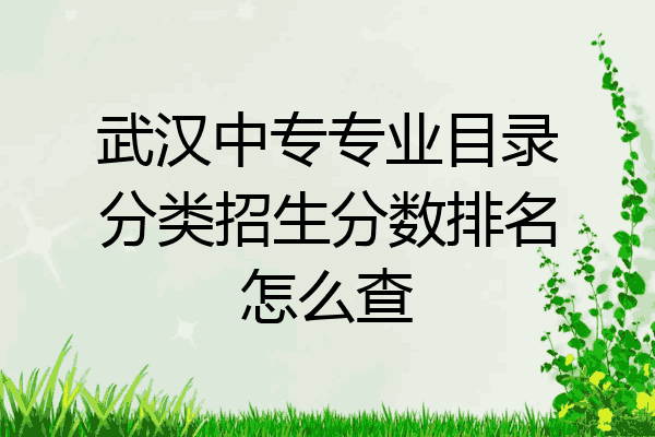 武汉中专专业目录分类招生分数排名怎么查