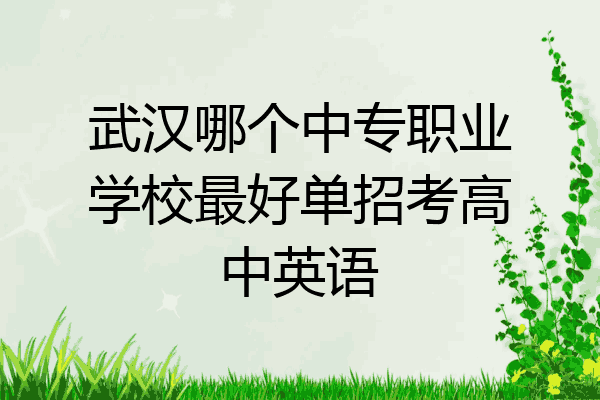 武汉哪个中专职业学校最好单招考高中英语