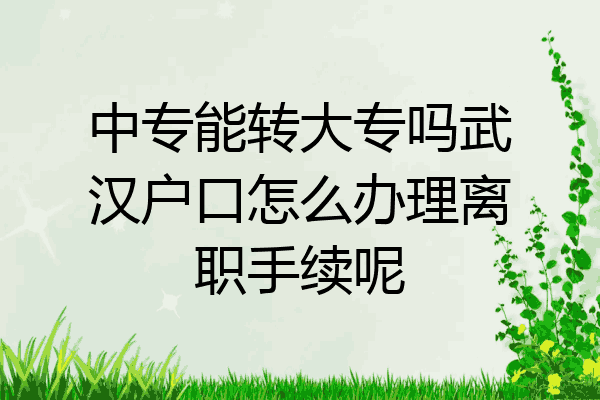 中专能转大专吗武汉户口怎么办理离职手续呢