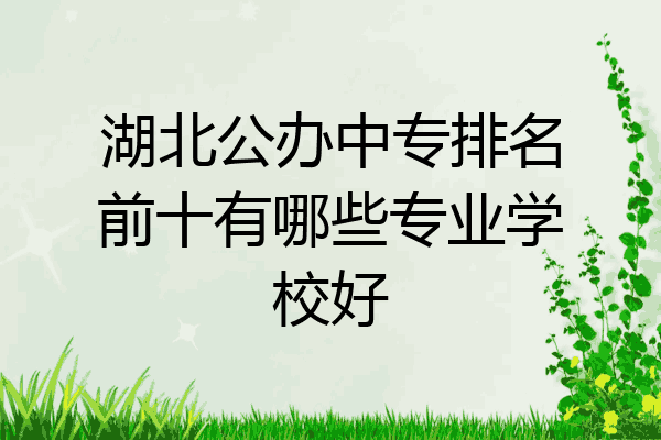 湖北公办中专排名前十有哪些专业学校好