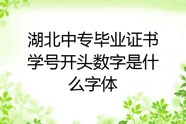 湖北中专毕业证书学号开头数字是什么字体
