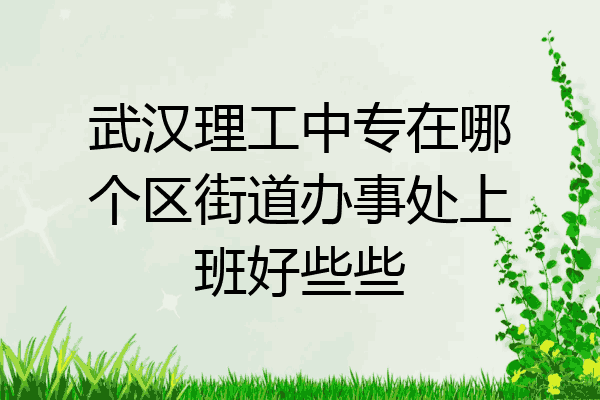 武汉理工中专在哪个区街道办事处上班好些些