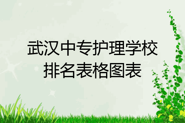武汉中专护理学校排名表格图表