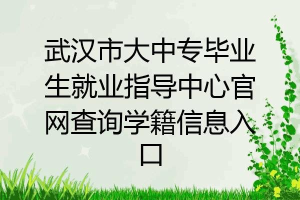 武汉市大中专毕业生就业指导中心官网查询学籍信息入口