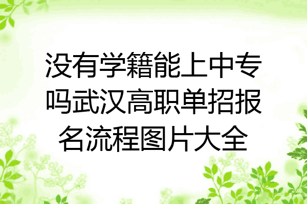 没有学籍能上中专吗武汉高职单招报名流程图片大全