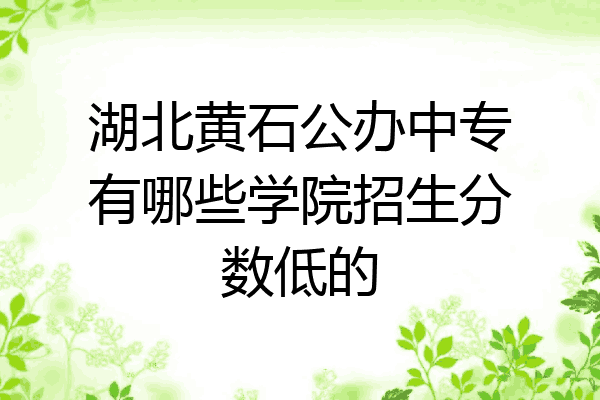 湖北黄石公办中专有哪些学院招生分数低的