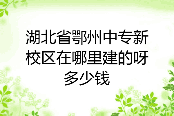 湖北省鄂州中专新校区在哪里建的呀多少钱