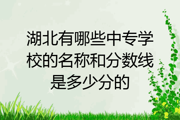 湖北有哪些中专学校的名称和分数线是多少分的