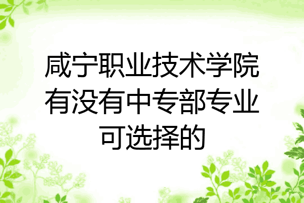咸宁职业技术学院有没有中专部专业可选择的