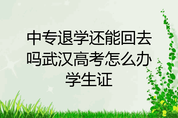 中专退学还能回去吗武汉高考怎么办学生证