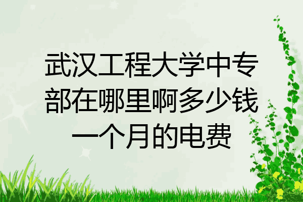 武汉工程大学中专部在哪里啊多少钱一个月的电费