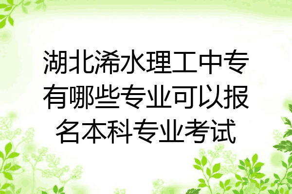 湖北浠水理工中专有哪些专业可以报名本科专业考试