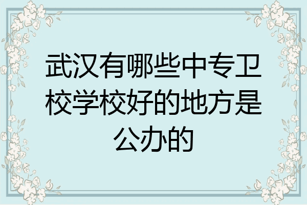 武汉有哪些中专卫校学校好的地方是公办的
