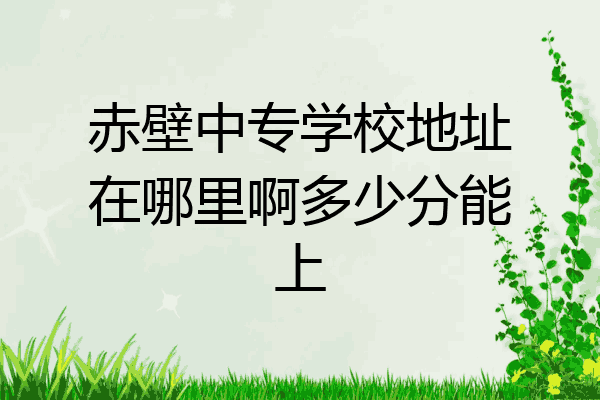 赤壁中专学校地址在哪里啊多少分能上