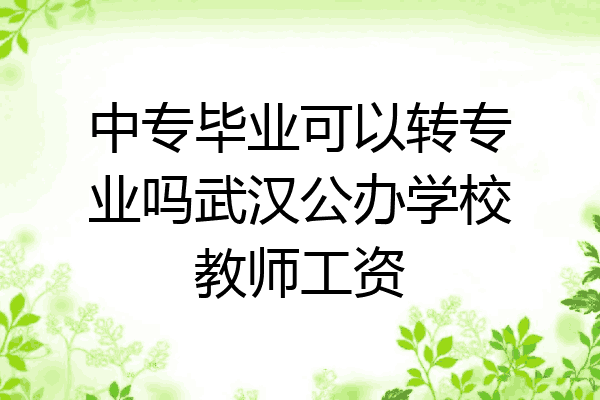中专毕业可以转专业吗武汉公办学校教师工资