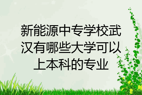 新能源中专学校武汉有哪些大学可以上本科的专业