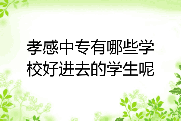 孝感中专有哪些学校好进去的学生呢
