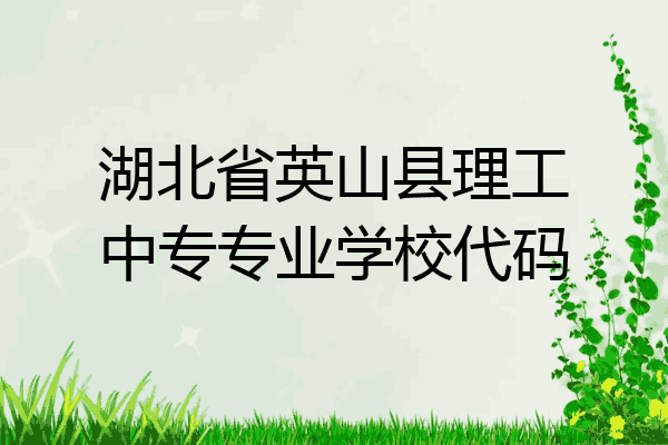 湖北省英山县理工中专专业学校代码
