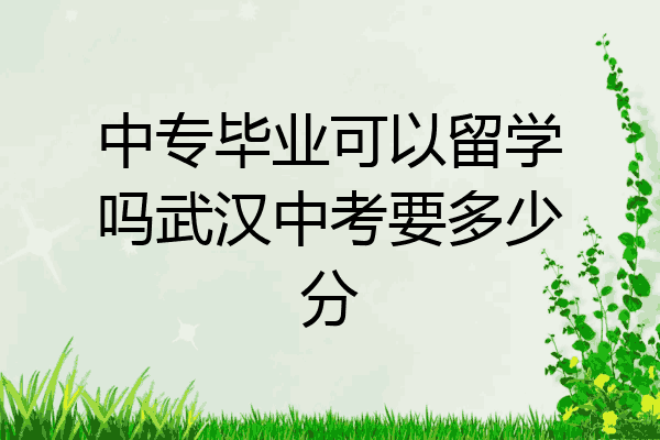 中专毕业可以留学吗武汉中考要多少分