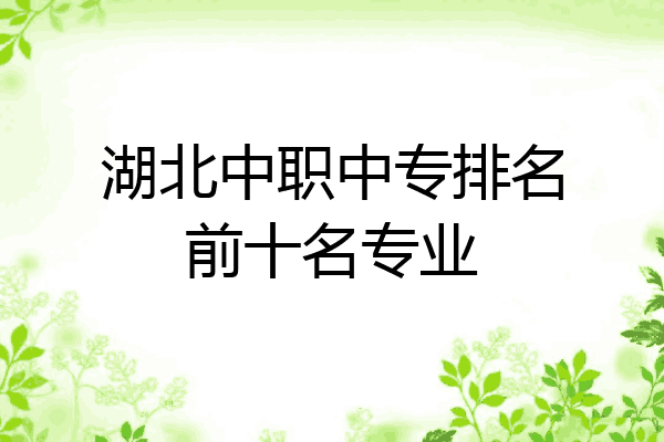 湖北中职中专排名前十名专业